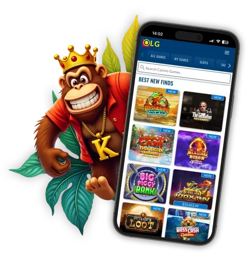 תצוגה מקדימה של האפליקציה